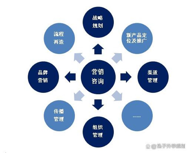 广州咨询公司的崛起与发展